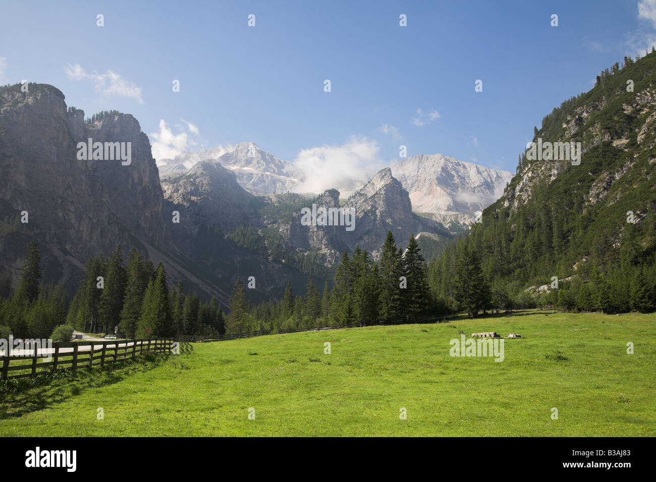 Meadow high in the Dolomite mountains Stock Photo - Alamy