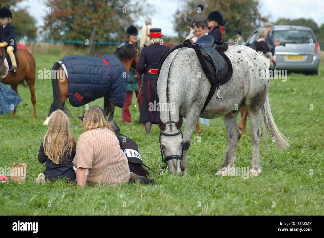 Local horse show Stock Photo Alamy