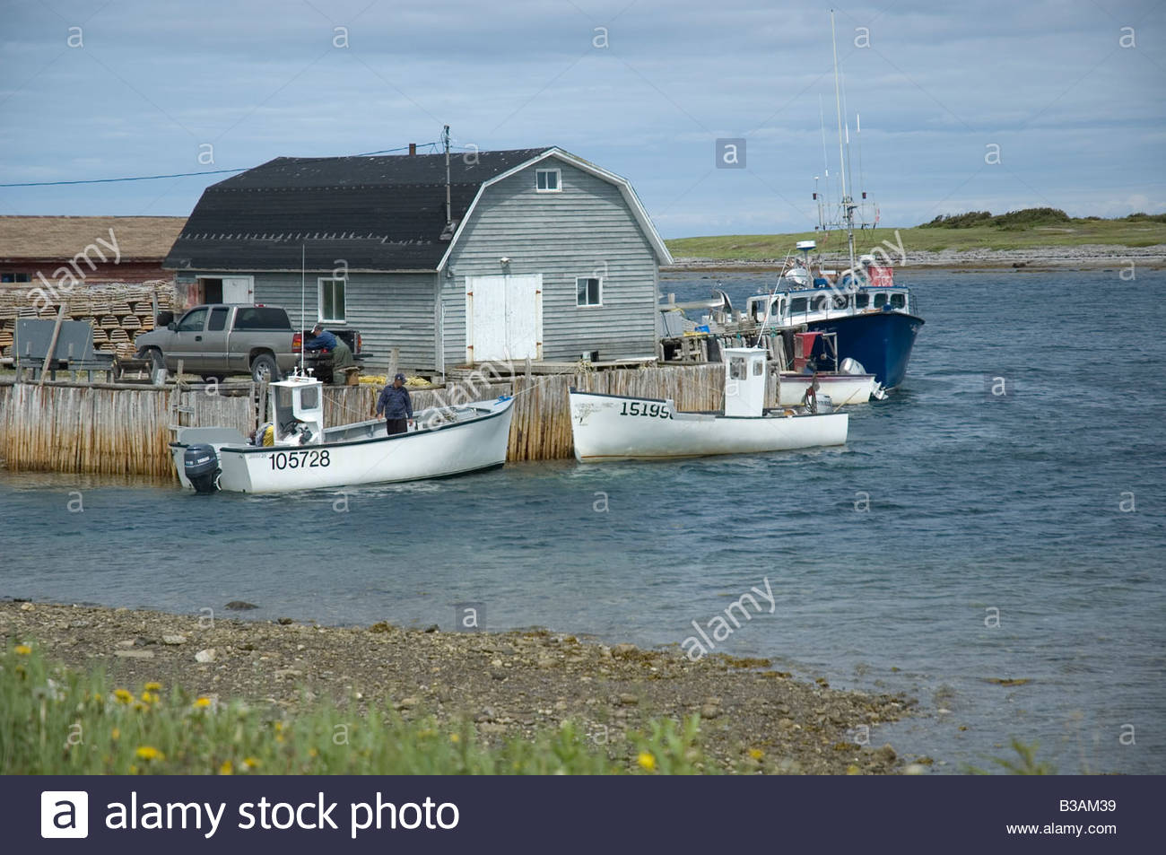 Fishing boats at Port au Choix Newfoundland Stock Photo 19289629 Alamy