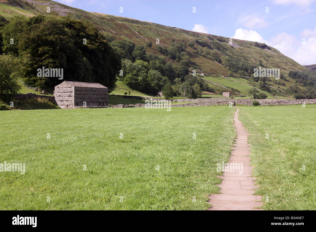 Footpath across the hay meadow, from Muker to Keld Stock Photo