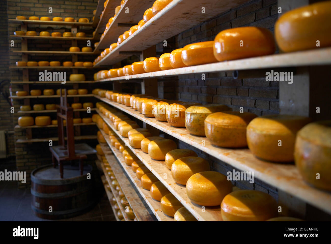 Amsterdam Cheese Factory High Resolution Stock Photography and Images