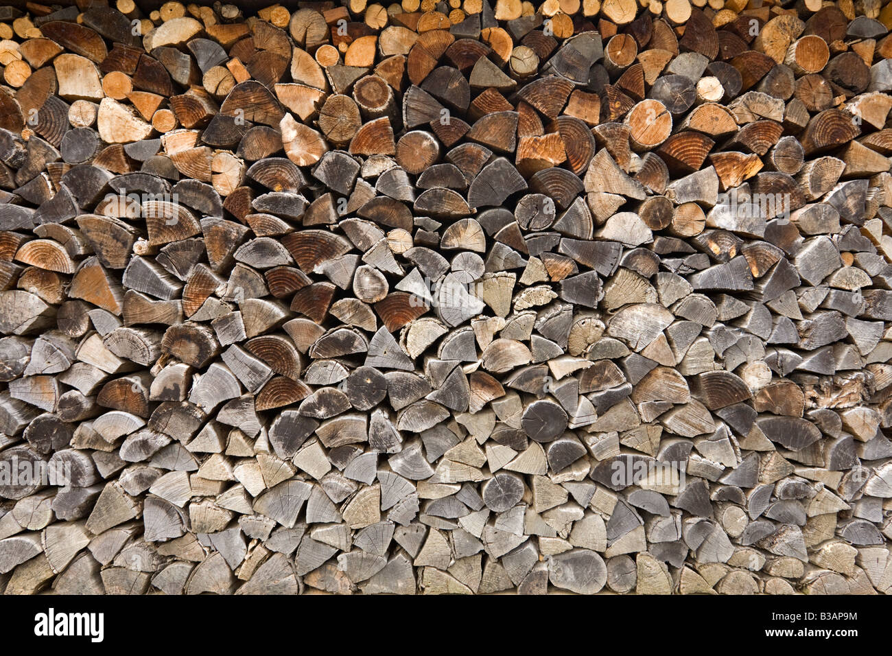 A dry firewood stack. Pile de bois de chauffage sec Stock Photo