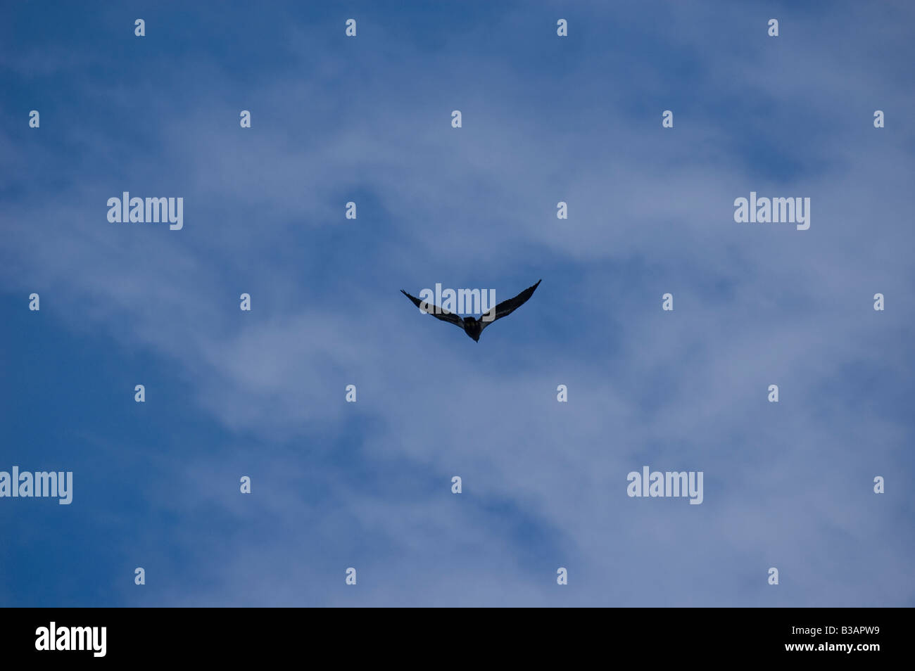 Blue cloud clouded sky hi-res stock photography and images - Alamy