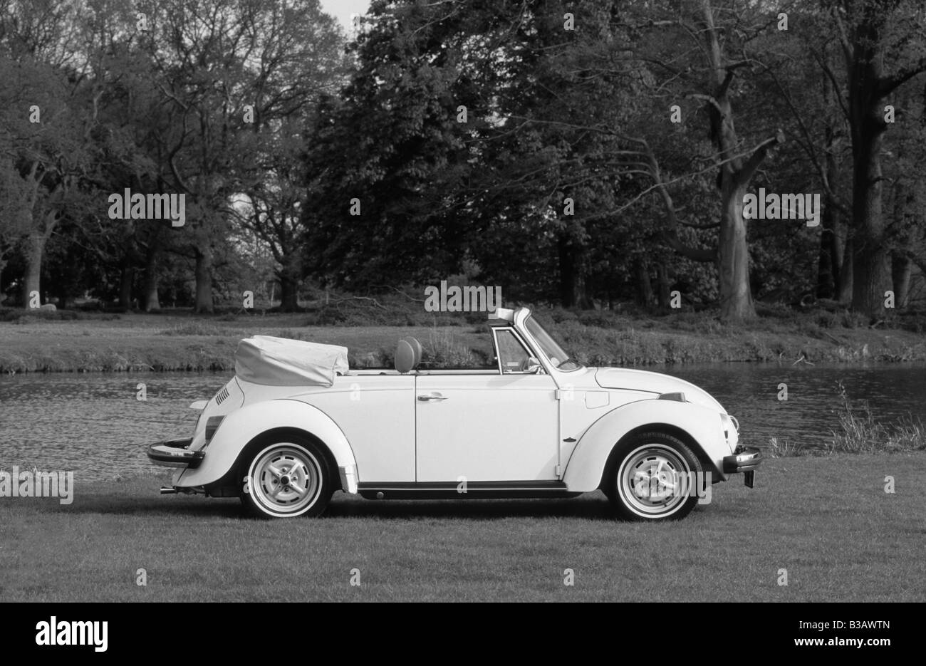 Volkswagen Beetle Cabriolet. Stock Photo