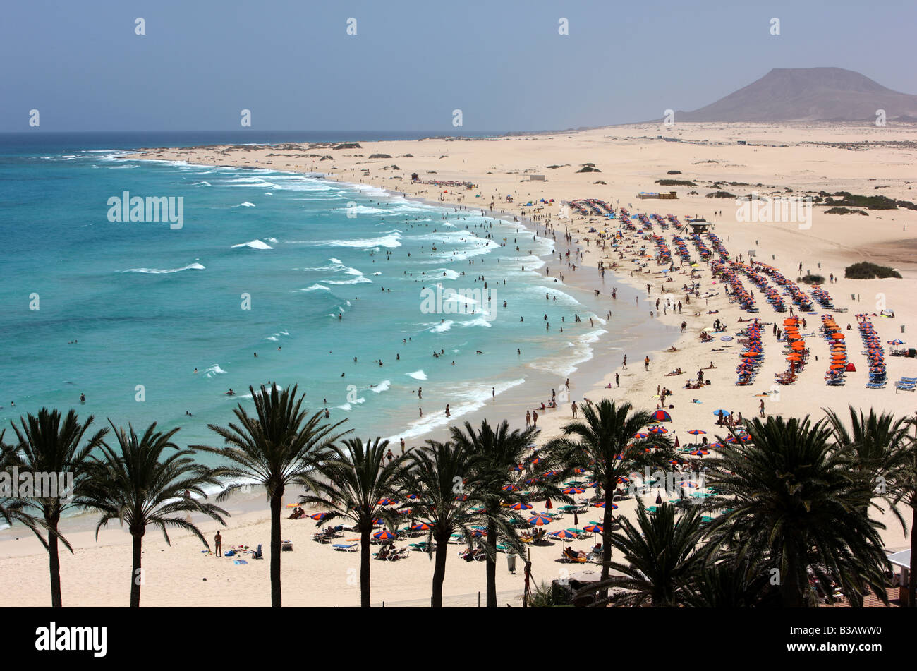 ESP Spain Canary Islands Fuerteventura Beach in the northern part of the island near Corralejo Stock Photo