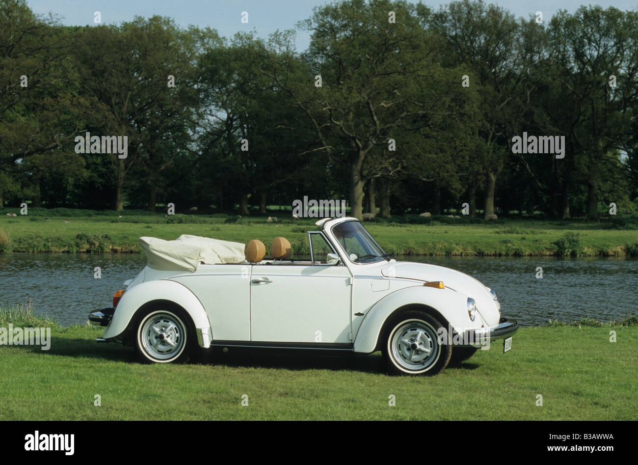 Volkswagen Beetle Cabriolet. Stock Photo