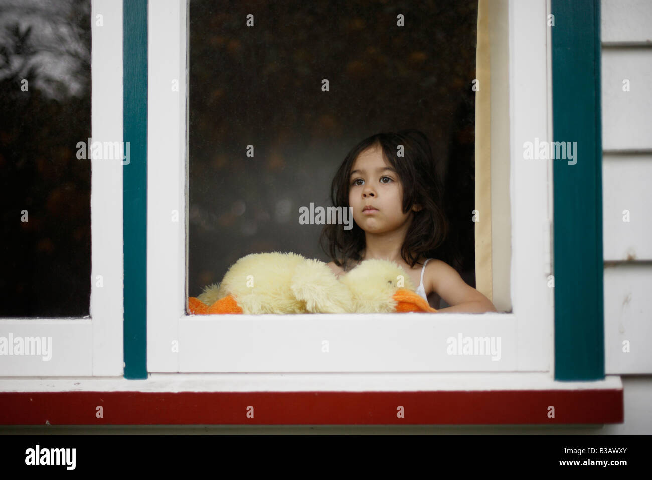 Girl aged 5 looks out window holding soft toy duck Stock Photo