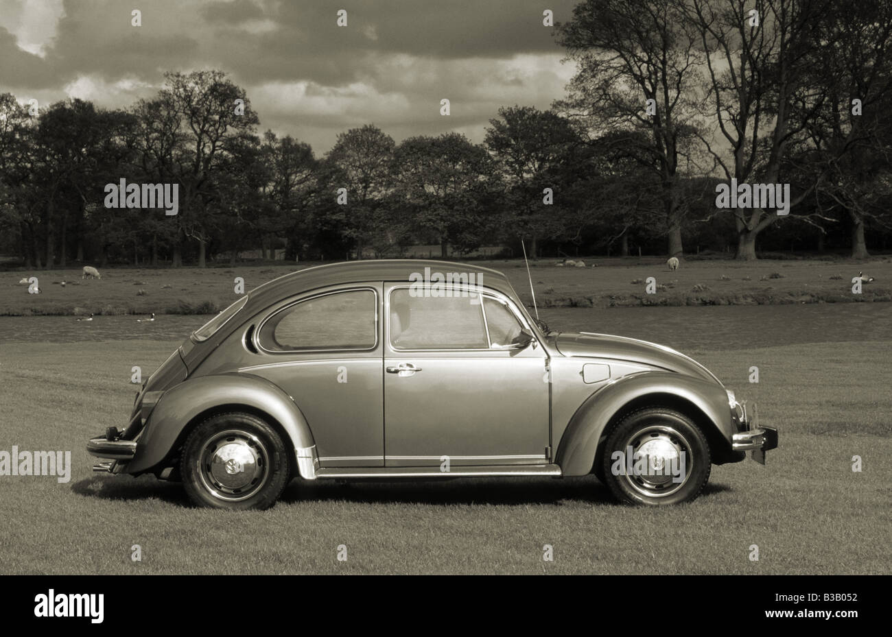 Volkswagen beetle 1983