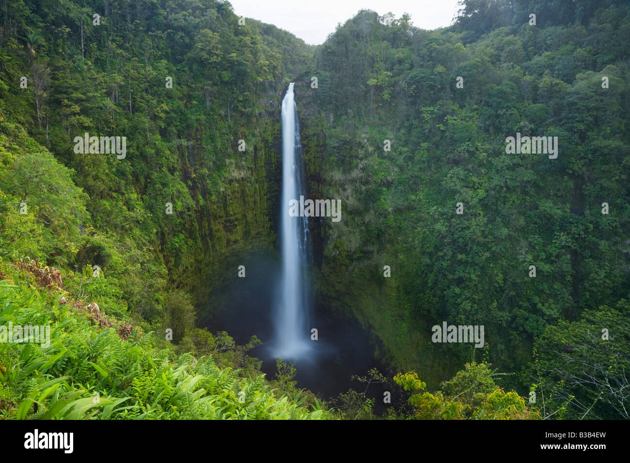Akaka Falls Big Island Hawaii USA Stock Photo