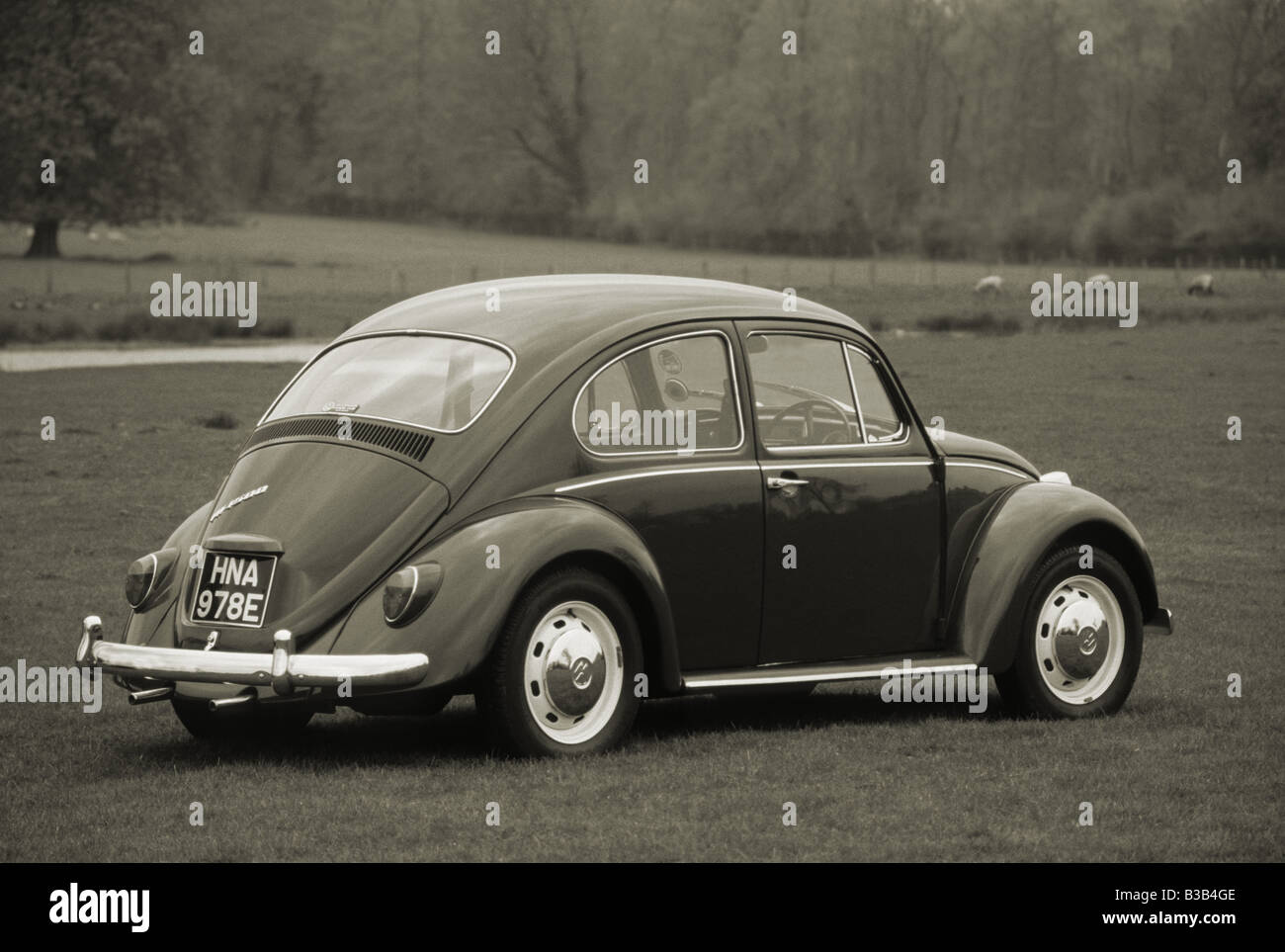 Volkswagen Beetle 1500 of 1967 Stock Photo Alamy