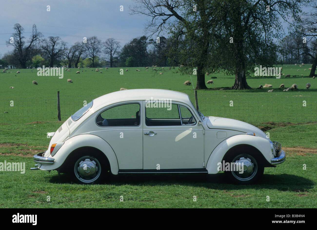 Volkswagen Beetle 1300. Stock Photo