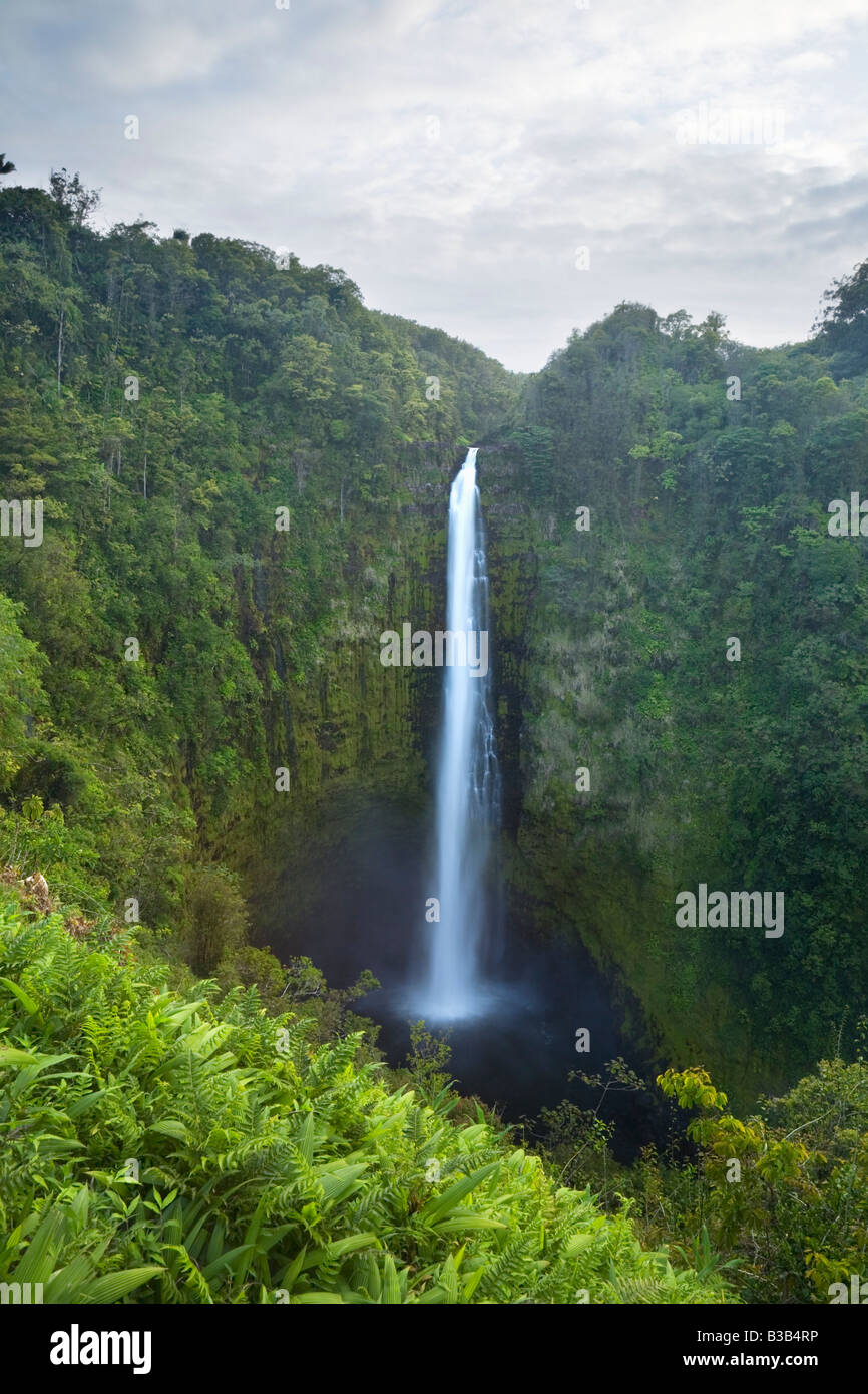 Akaka Falls Big Island Hawaii USA Stock Photo
