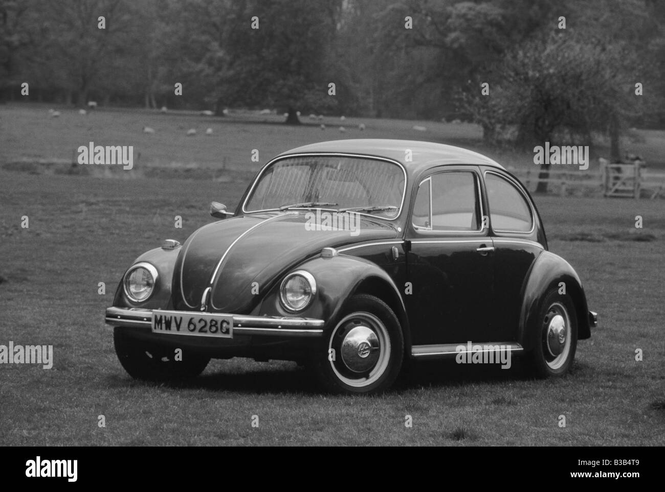 Volkswagen Beetle 1300 of 1968. Stock Photo