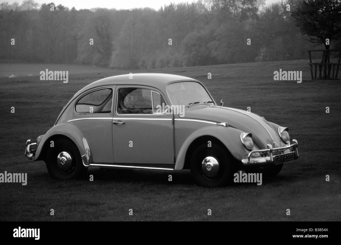 Volkswagen Beetle 1300 of 1966 Stock Photo