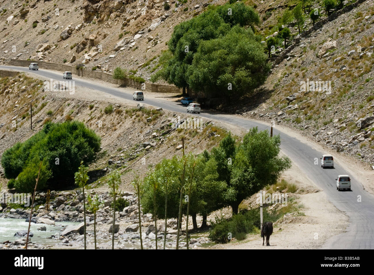 New Chinese Minivans along Panj River Valley near Khorog Headed for