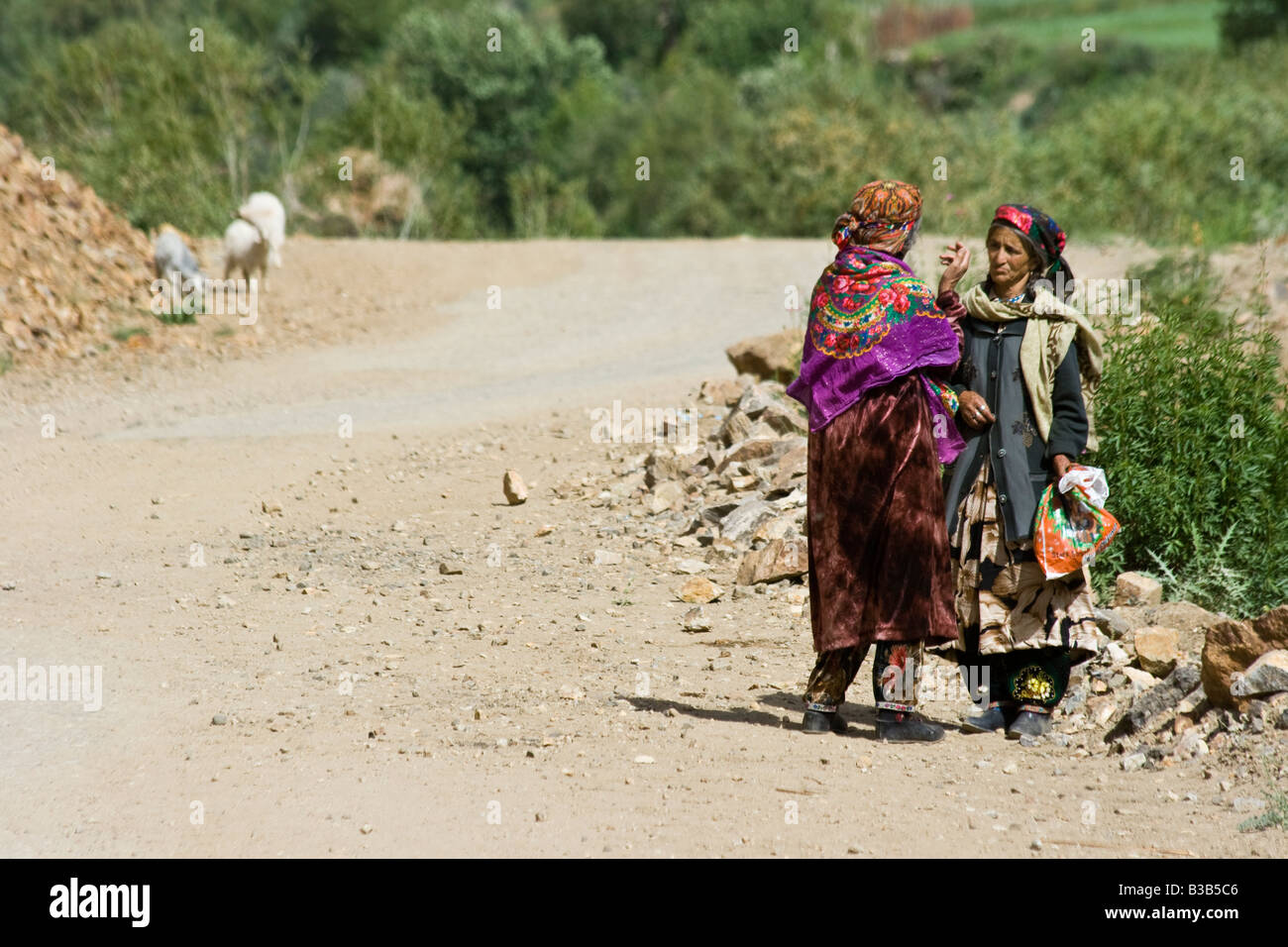 Интернеттегі ең жақсы порно көру