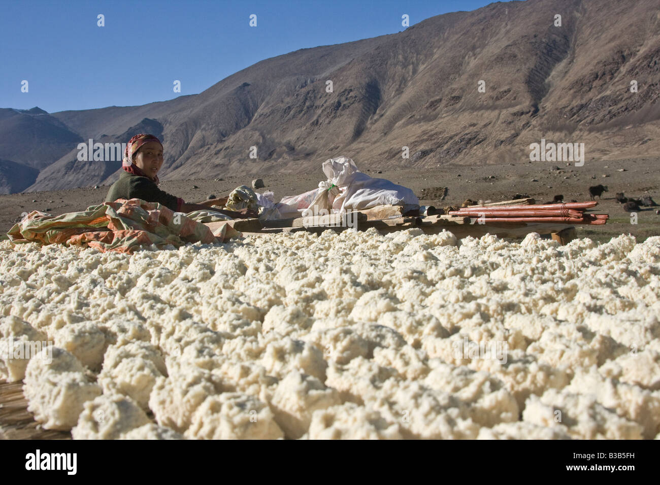 Yogurt Cheese Balls Drying in the Sun in Jalang Village in the Pamirs in Tajikistan Stock Photo
