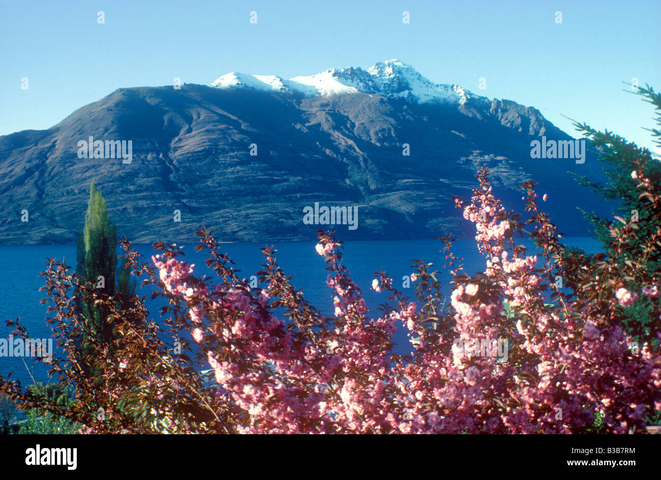 New Zealand South Island Lake Wakatipu near Queenstown Stock Photo - Alamy