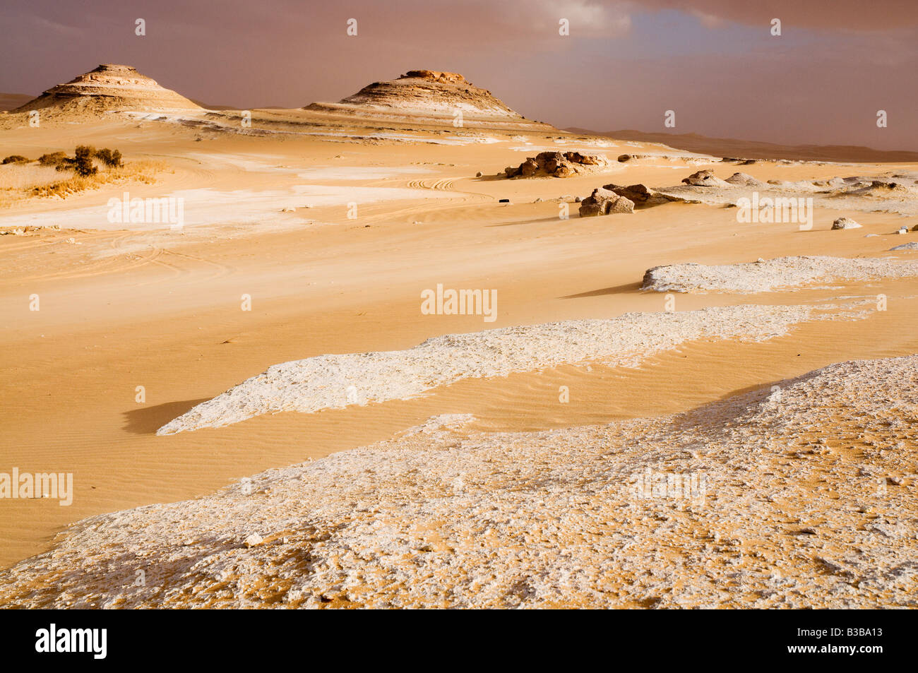 Overview of Desert, Bir Wahed, Libyan Desert, Egypt Stock Photo