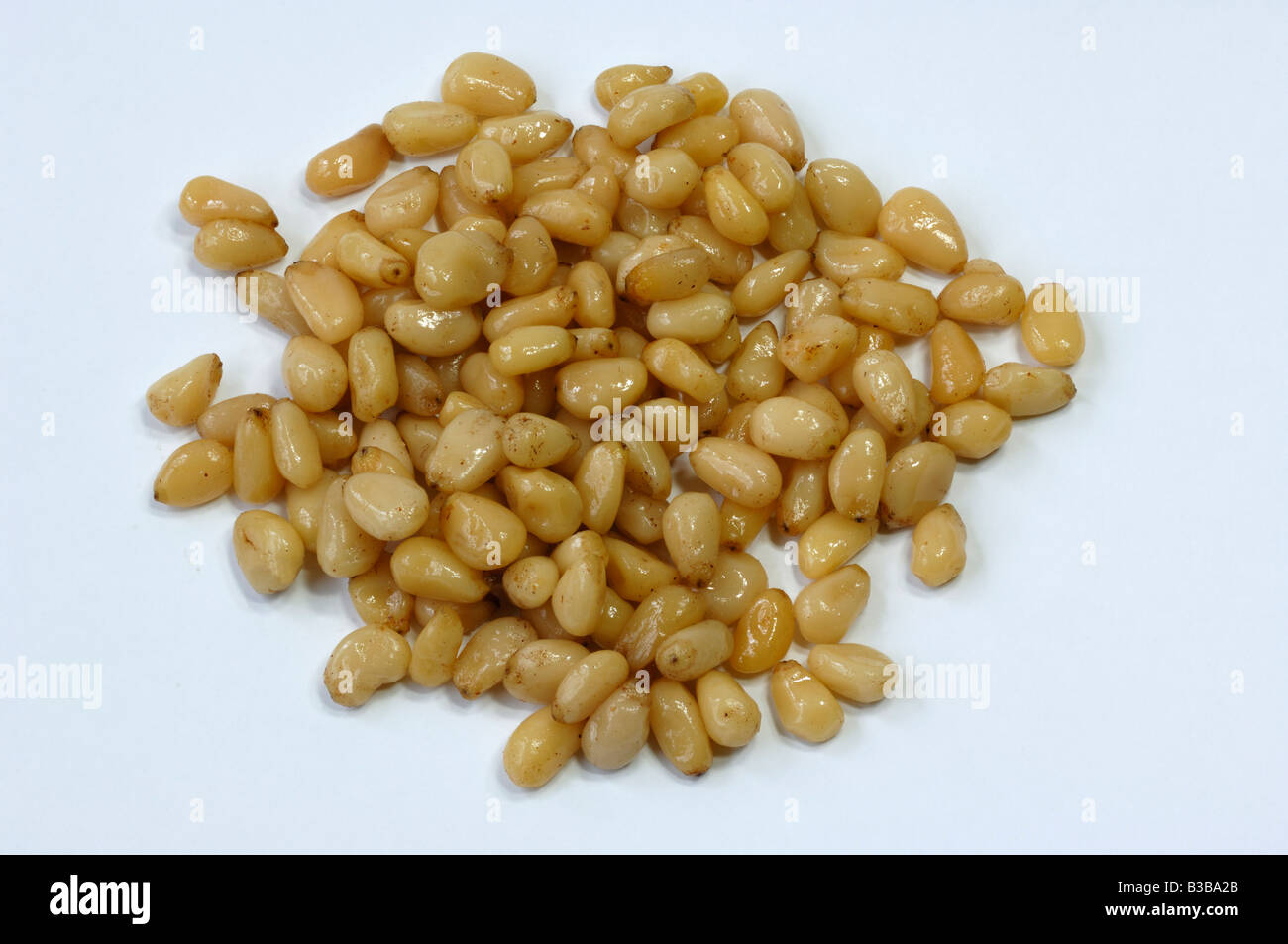 Siberian Pine, Sibirian Cedar (Cedrus sibirica, Pinus sibirica), peeled seeds, pine nuts, studio picture Stock Photo
