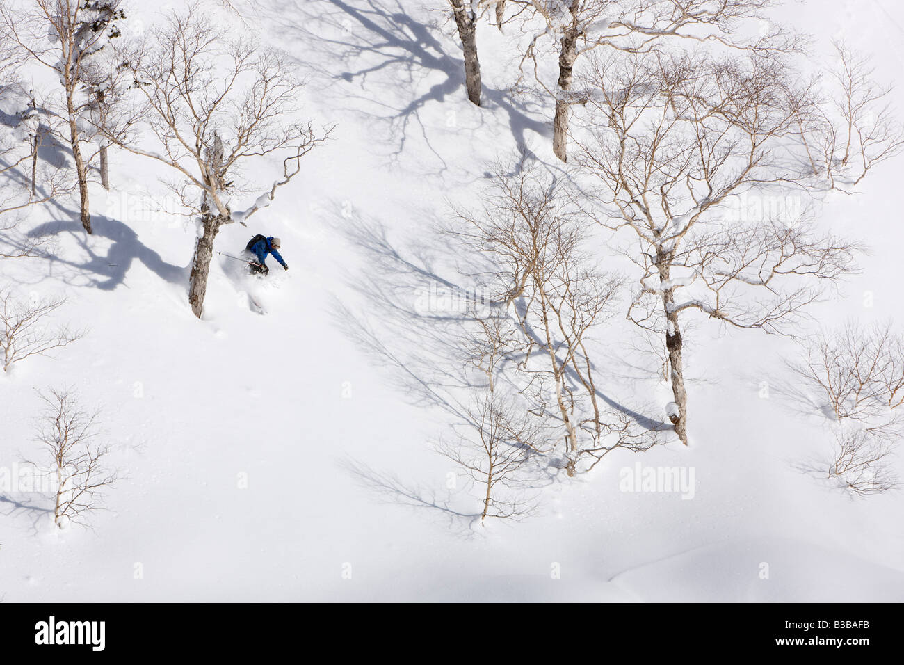 Telemark Skiing, Furano, Hokkaido, Japan Stock Photo Alamy