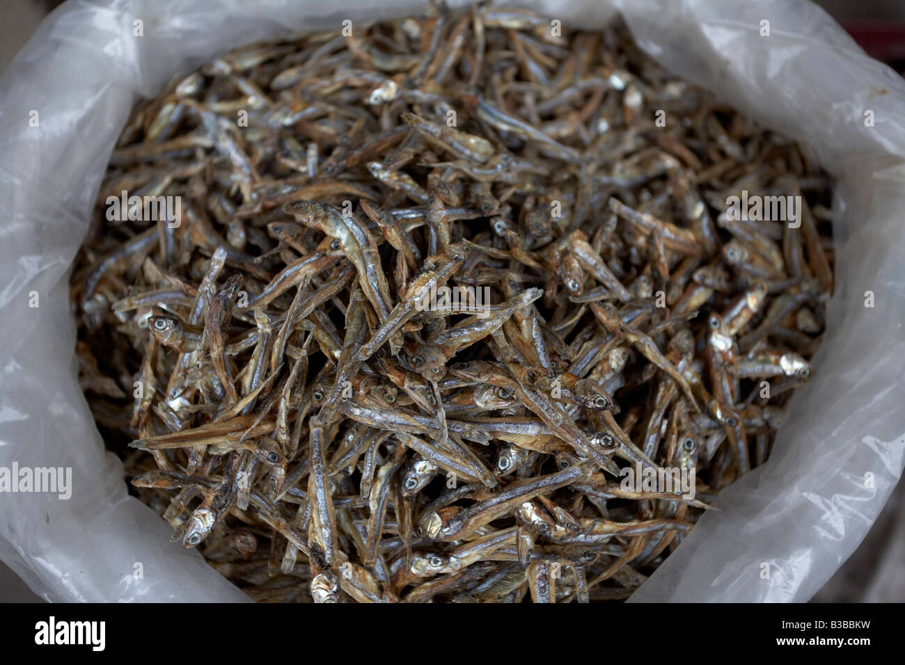Dry Anchovies, Hoi An, Quang Nam Province, Vietnam Stock Photo Alamy