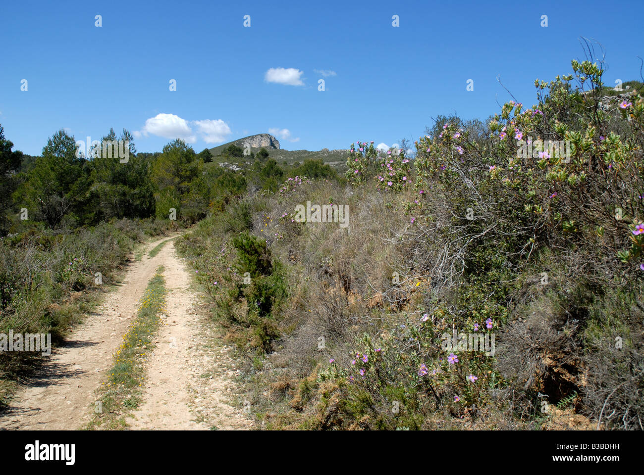rural track, Vall de Alcala, Alicante province, Comunidad Valenciana, Spain Stock Photo