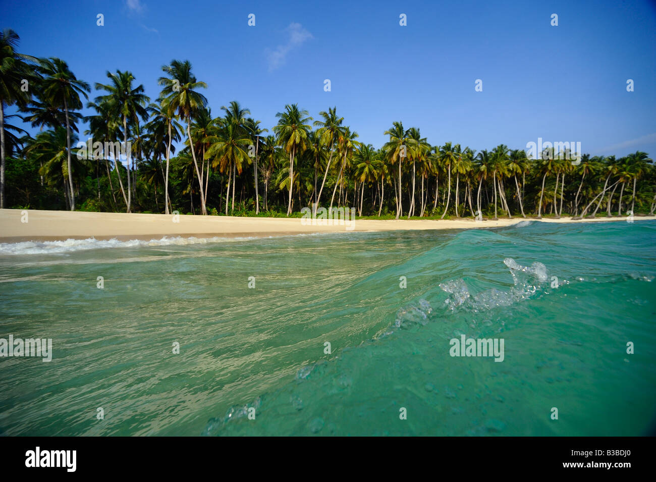 Tropical beach in the Mentawai Islands off Sumatra Indonesia Stock Photo