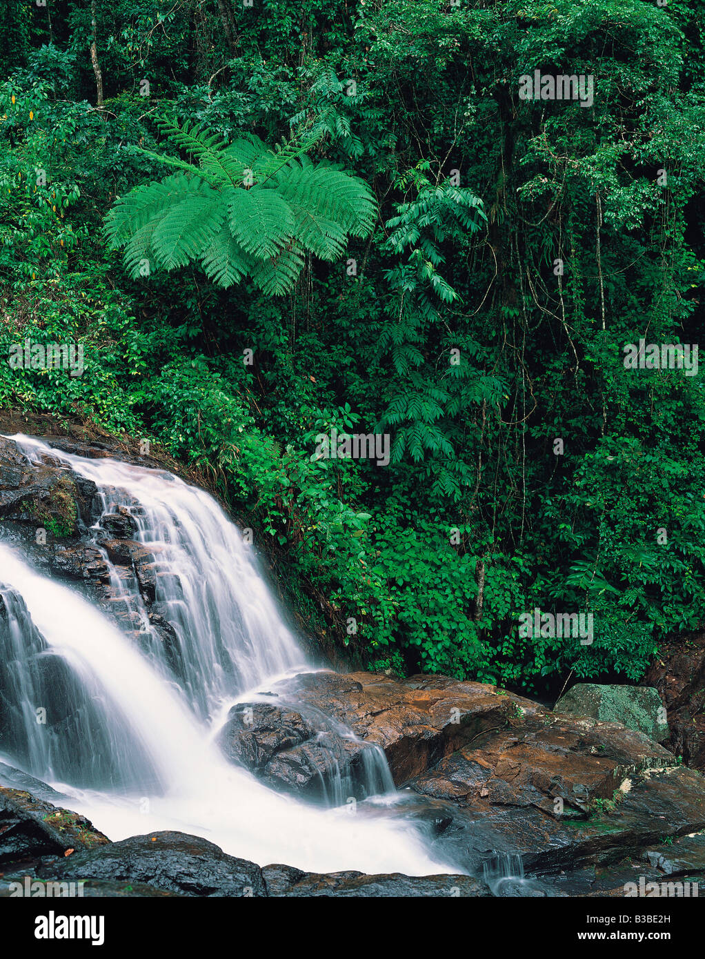 Australia. Queensland. Dinner Falls. Mount Hypipamee. Waterfall in Atherton Tableland. Stock Photo