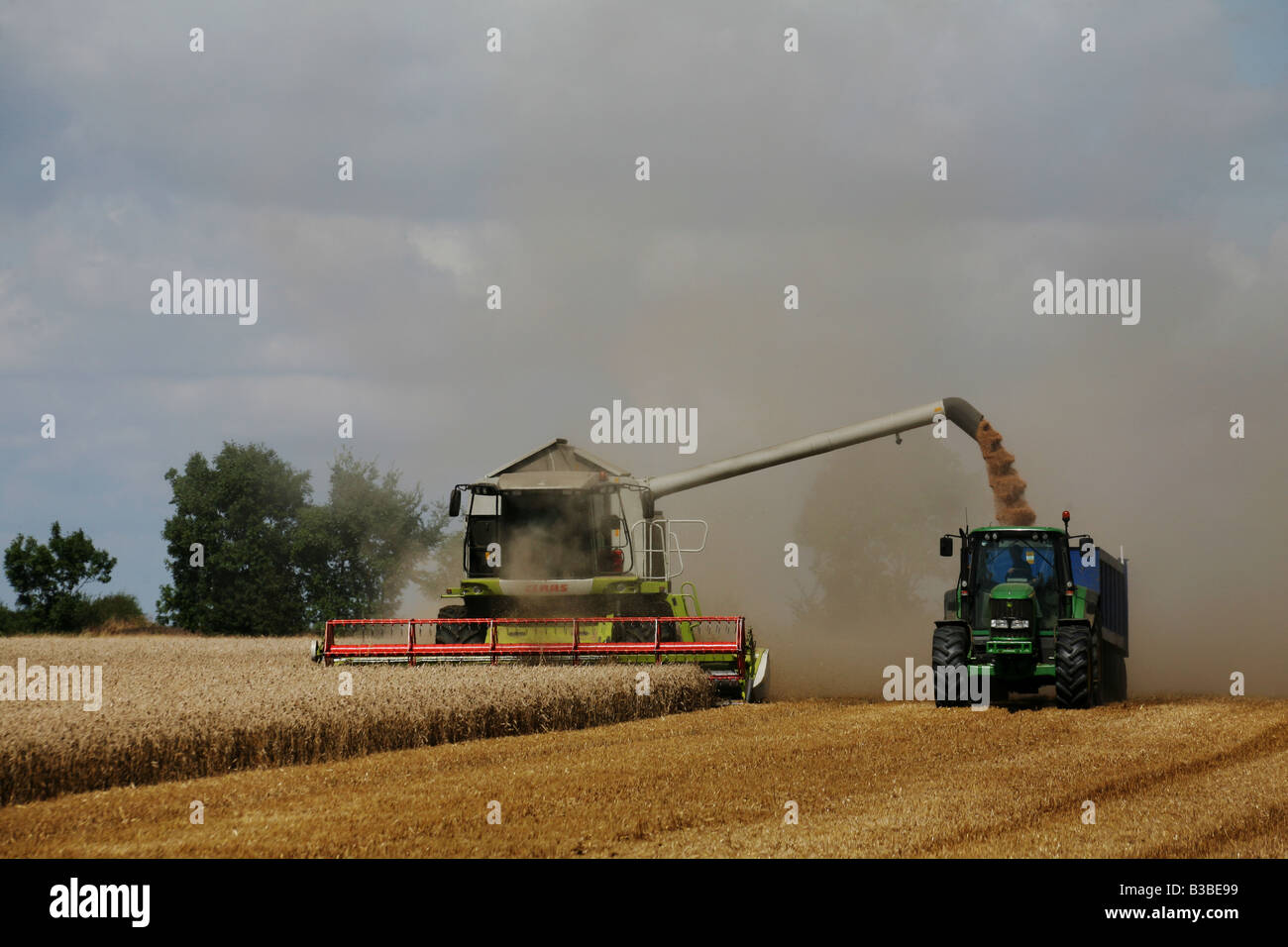 A COMBINE HARVESTER AND TRACTOR HARVEST WHEAT FOR BREAD PRODUCTION AT