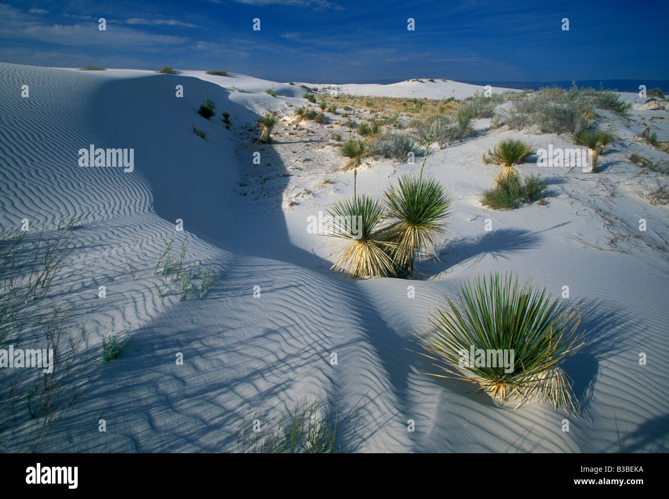 White Sands National Monument, Tularosa Basin, public land, Alamogordo