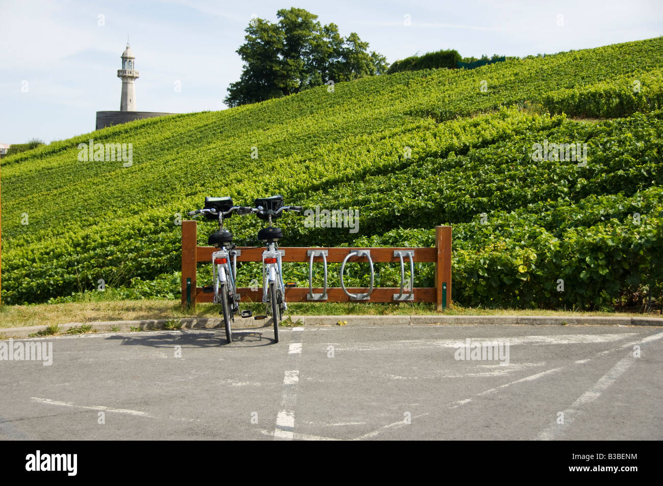 Montagne De Reims Champagne Ardenne French Wine Route Travel
