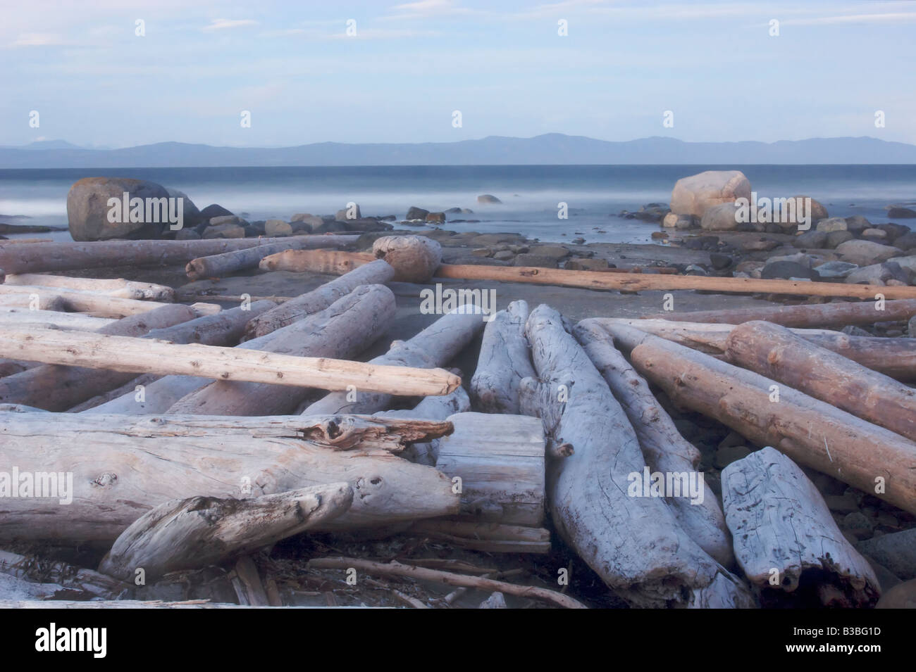Driftwood logs line a beach at Trailee Point on Hornby Island in British Columbia, Canada. Stock Photo