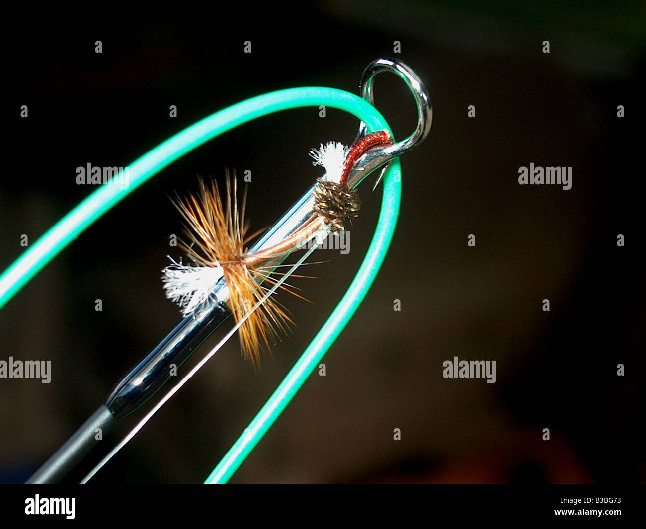 Fly fishing hook safely under tension Stock Photo
