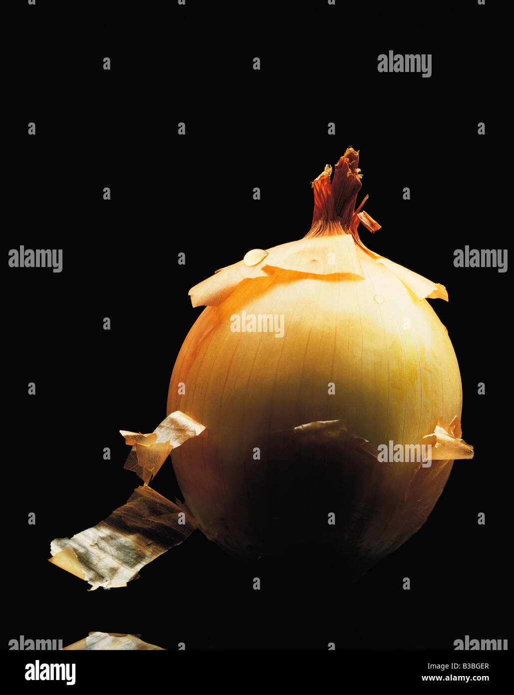 Studio shot of raw onion Stock Photo