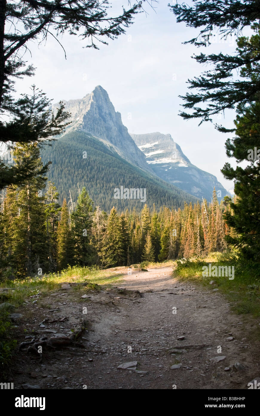View from a trail in Glacier National Park Stock Photo