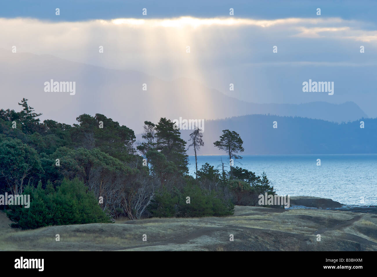 Sunrays glisten on the ocean just after sunrise behind Helliwell Park on Hornby Island, British Columbia, Canada. Stock Photo