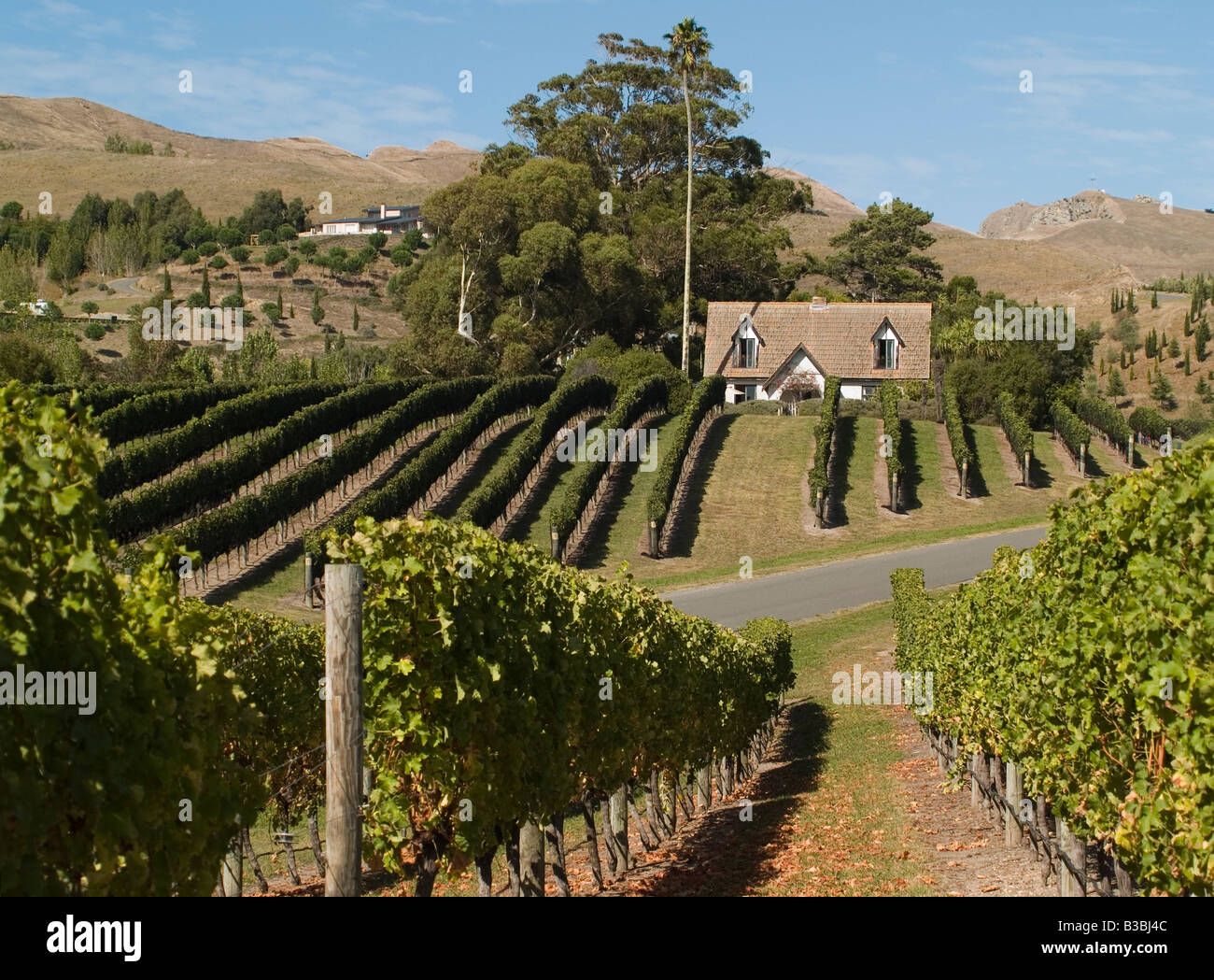Black barn hawkes bay hires stock photography and images Alamy