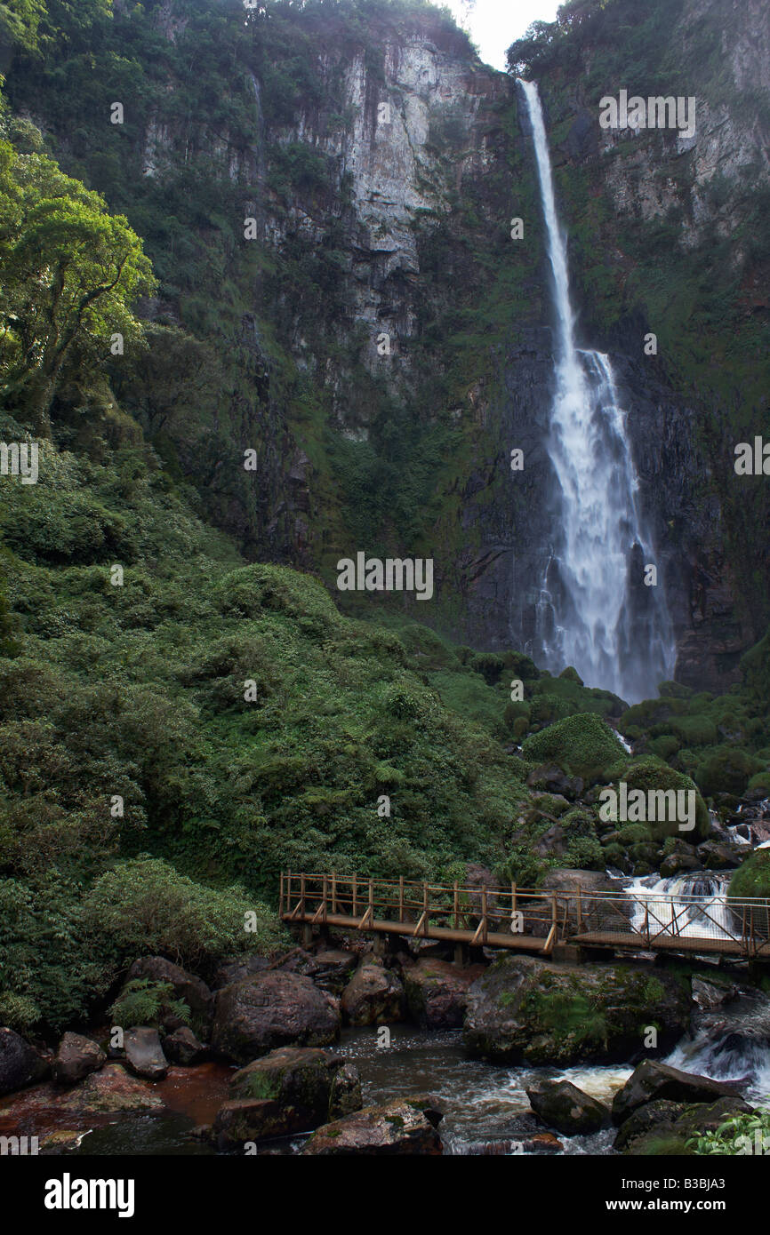 Waterfall in the Rainforest Stock Photo - Alamy