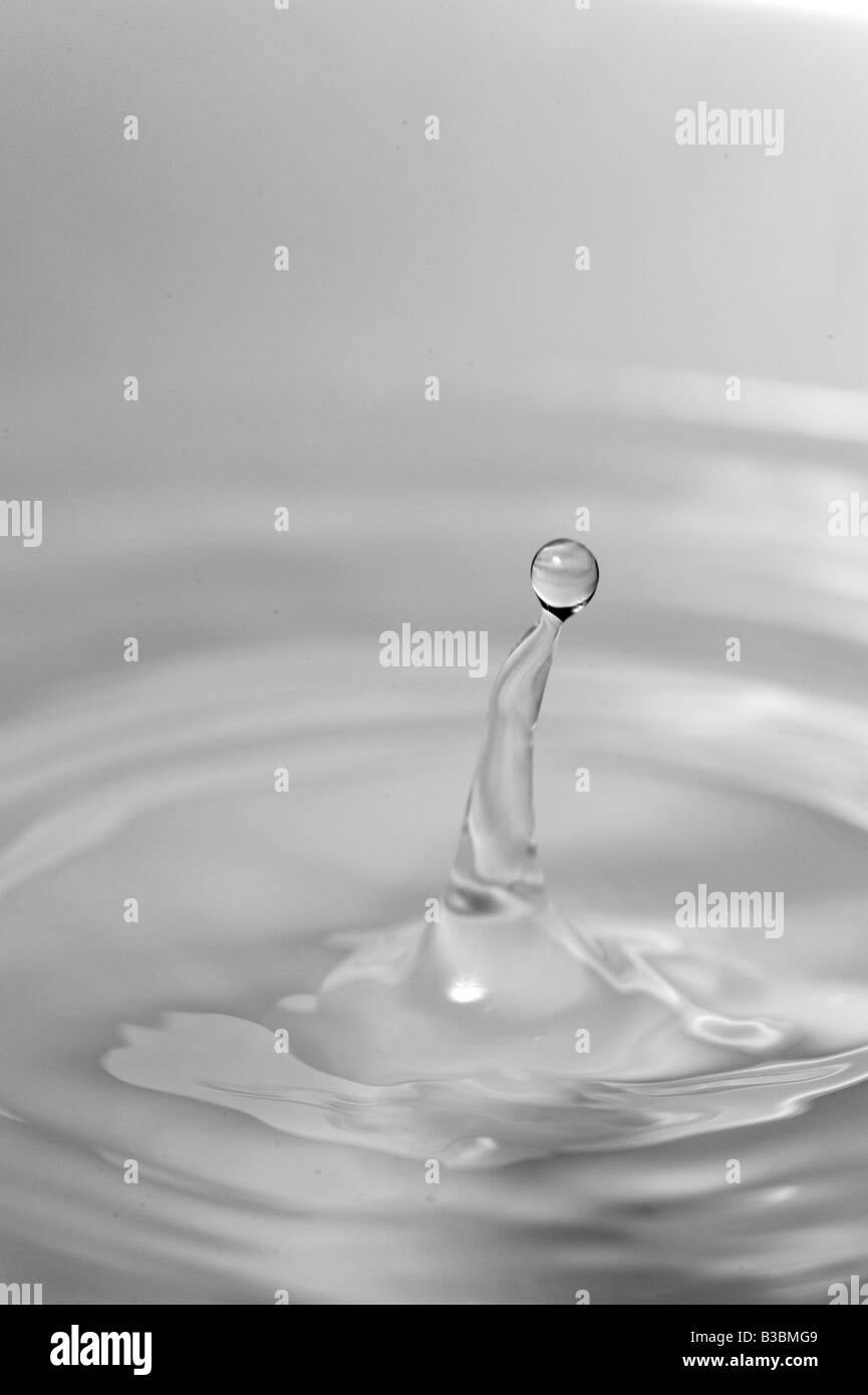 water drop making rings drip splash drop Stock Photo