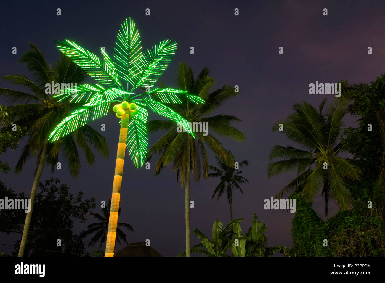 Artifical Palm Tree at Night Stock Photo