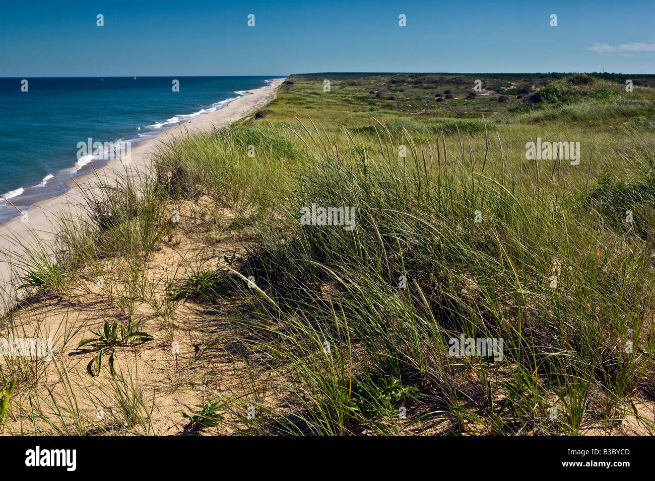 Marconi Beach Grasses Cape Cod Massachusetts Stock Photo