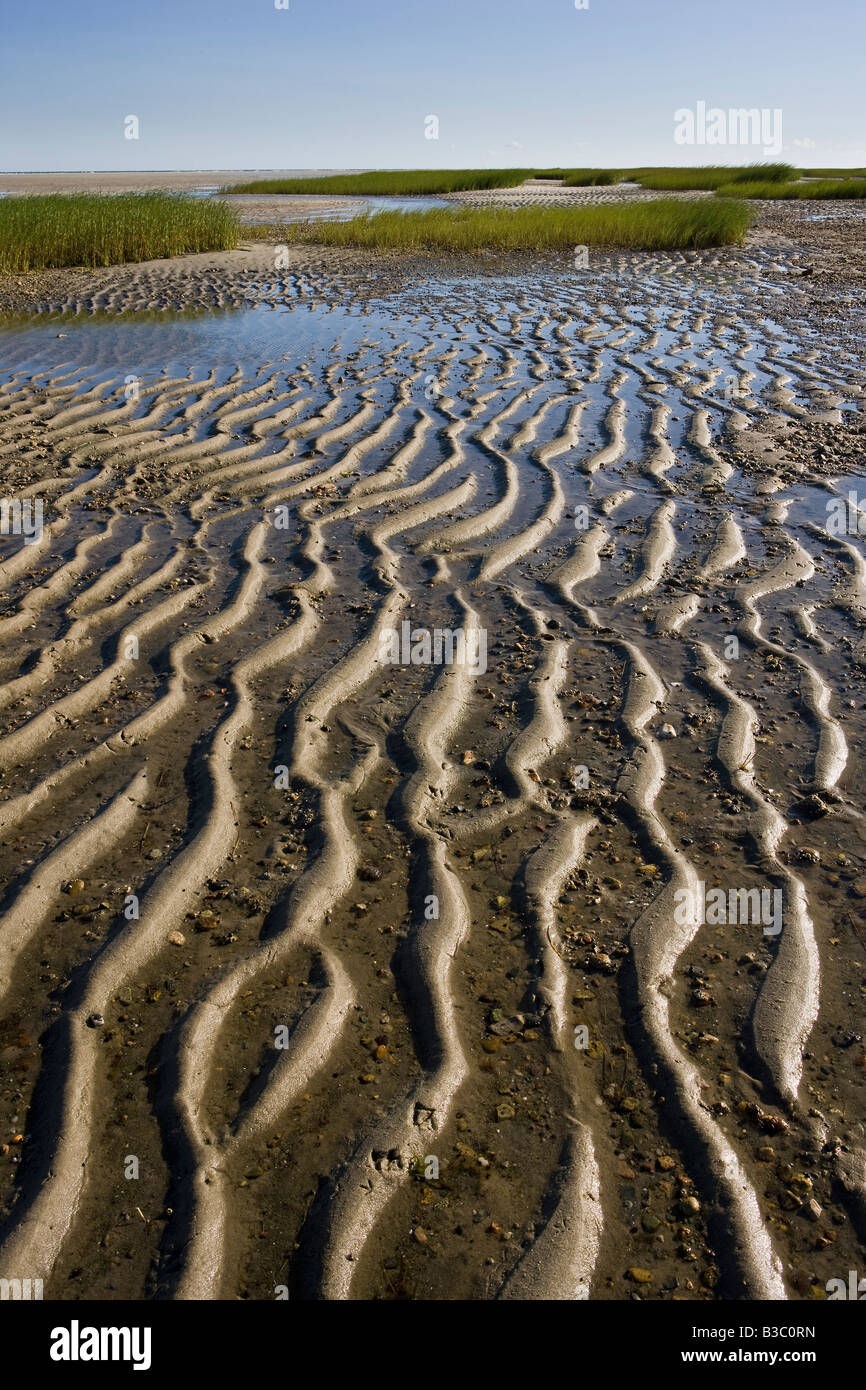 Tidal Basin Cape Cod Bay Massachusetts Stock Photo