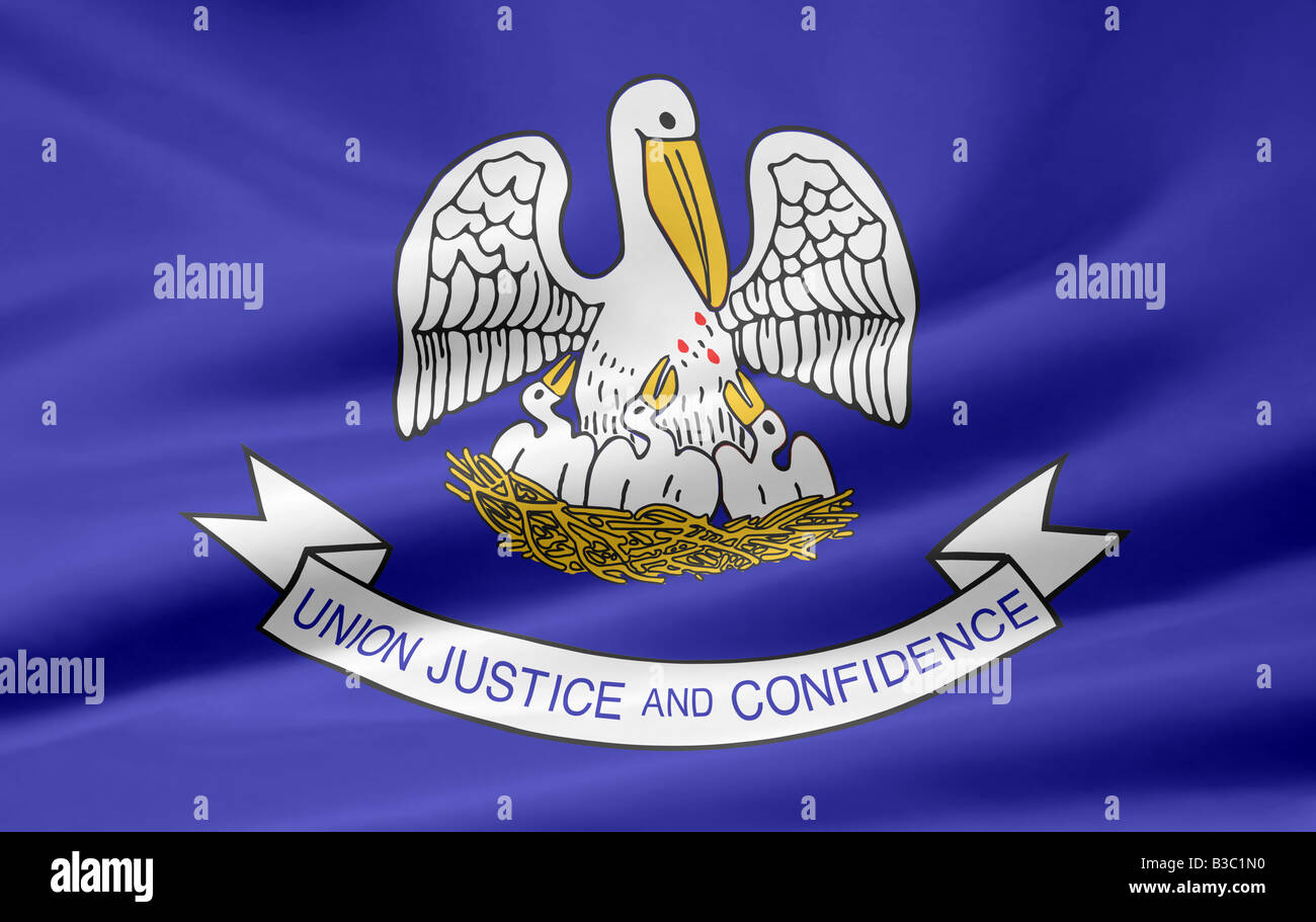 High resolution flag of Louisiana Stock Photo Alamy