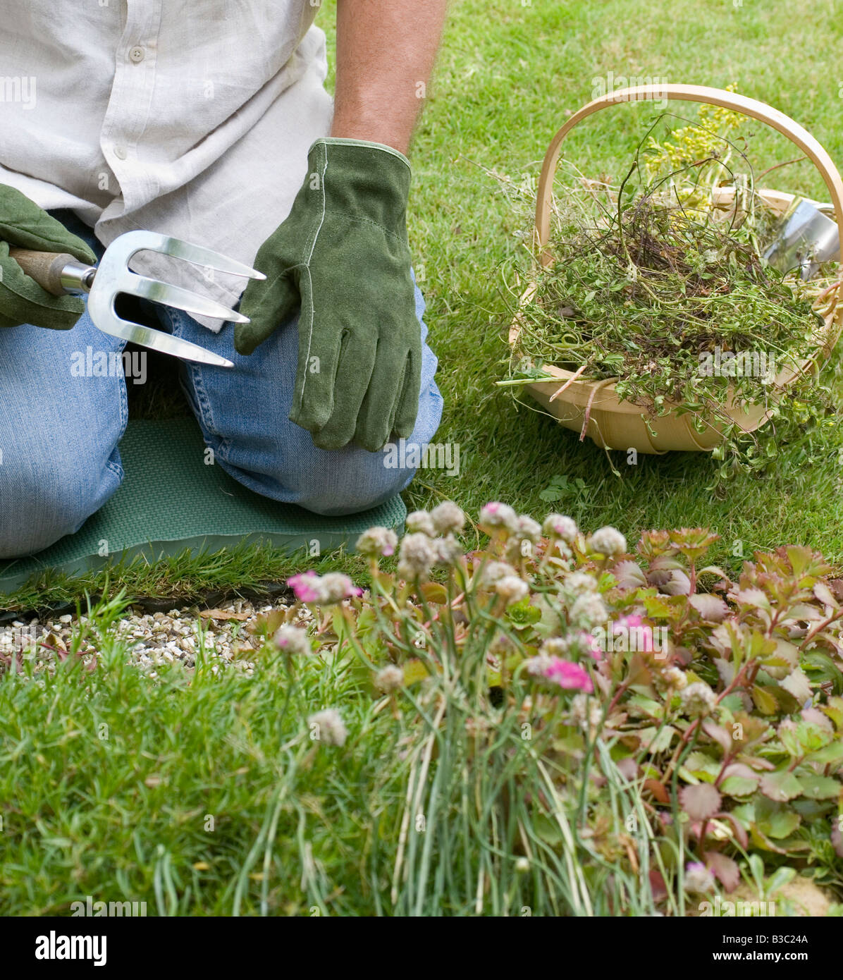 A man planting flowers in a garden Stock Photo - Alamy