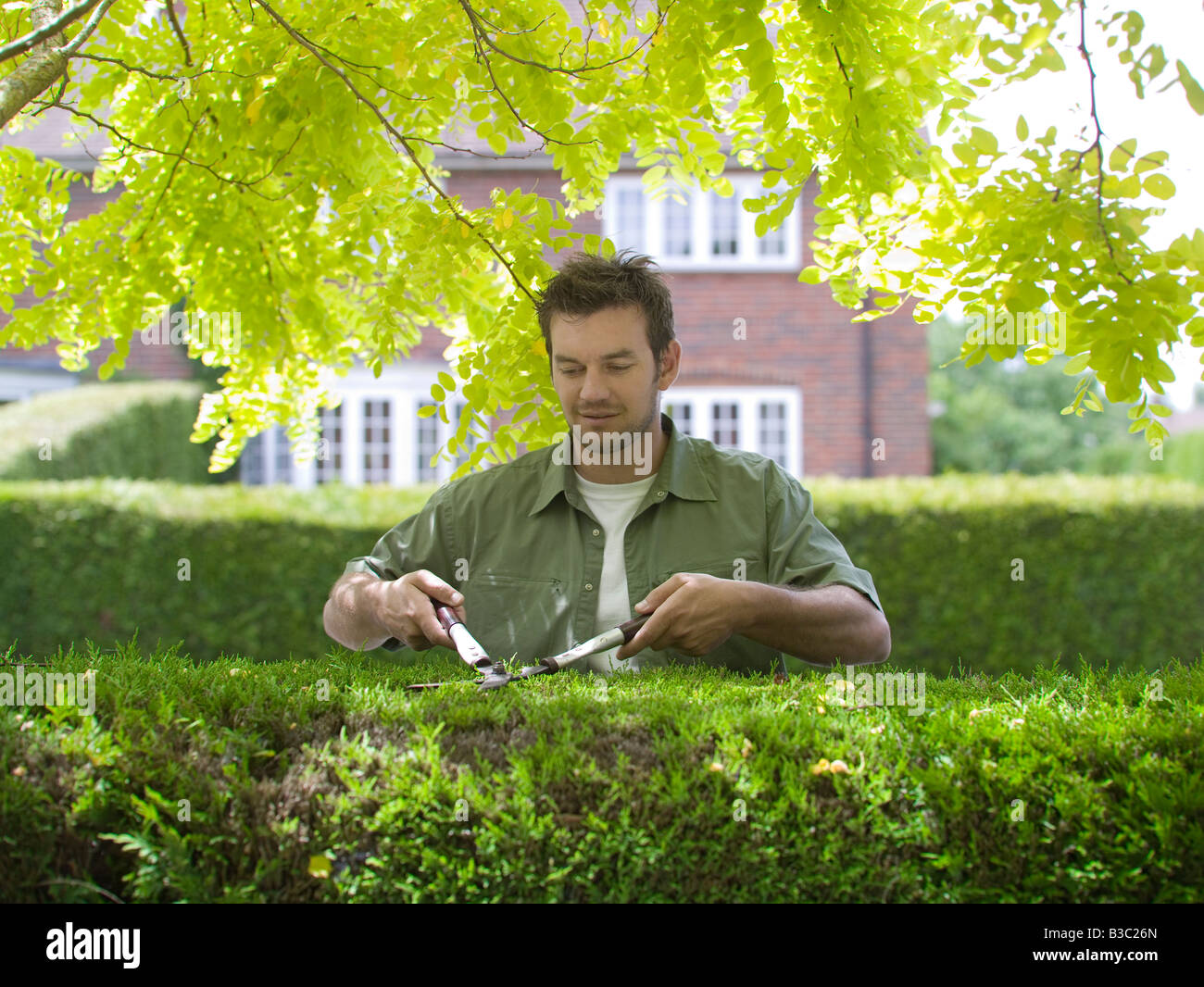 A man cutting a hedge with shears Stock Photo Alamy