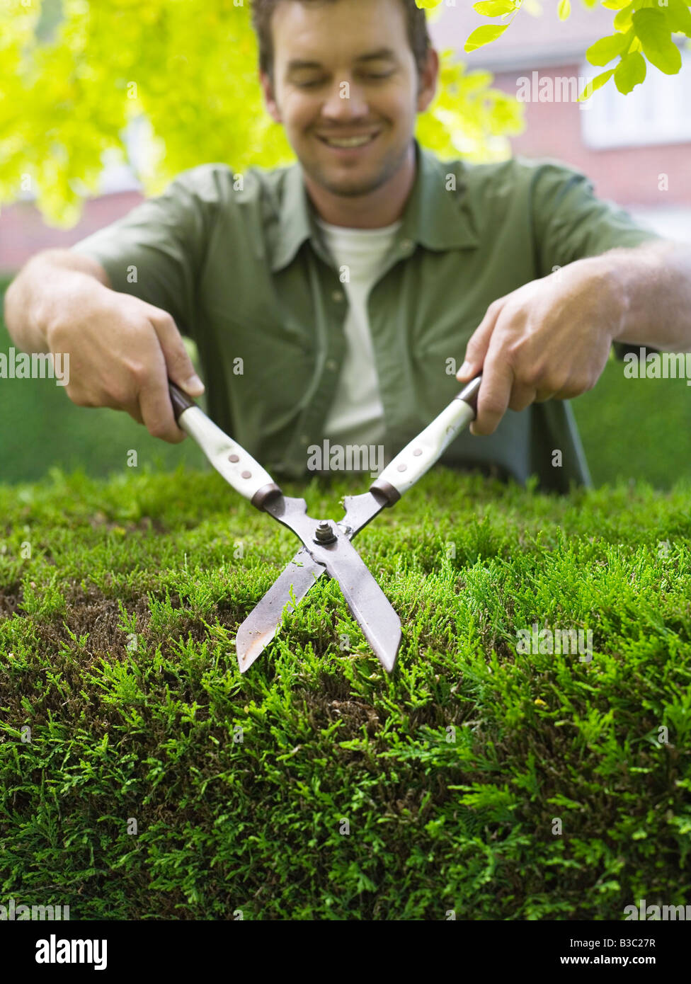 A man cutting a hedge with shears Stock Photo Alamy