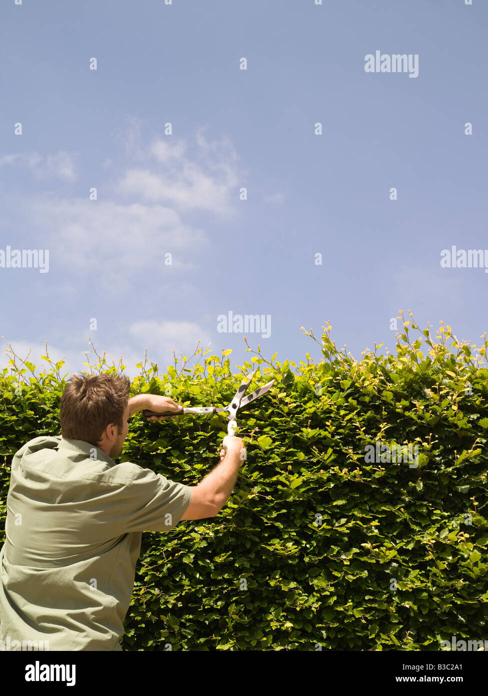 A man cutting a garden hedge with shears Stock Photo