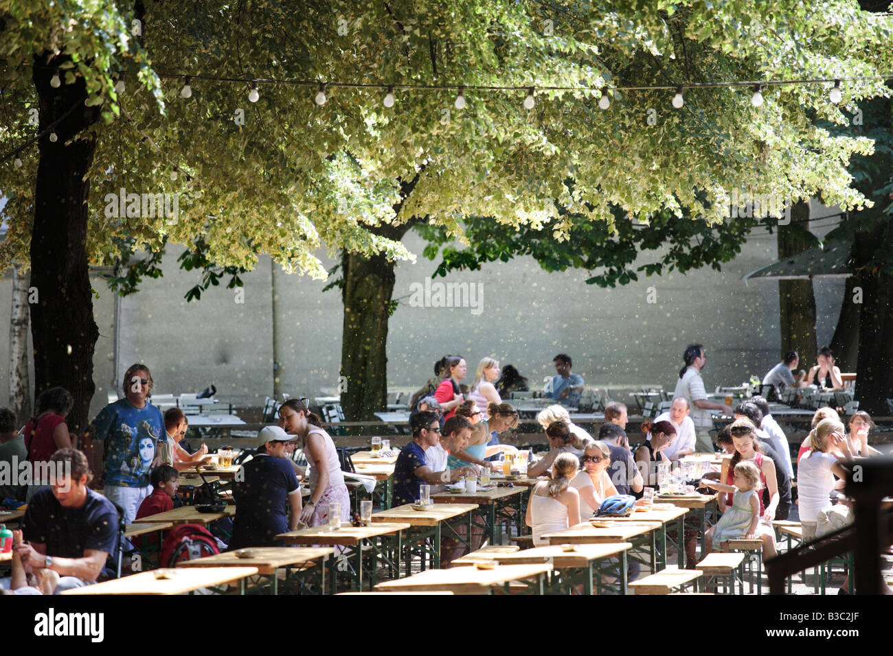 Pollen falling from trees over visitors sitting in the Tierpark in