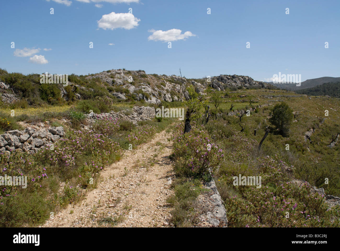 trackway, Vall de Alcala, Alicante Province, Comunidad Valenciana, Spain Stock Photo